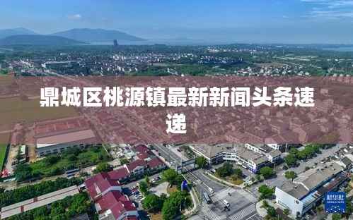 别出新意 第4页