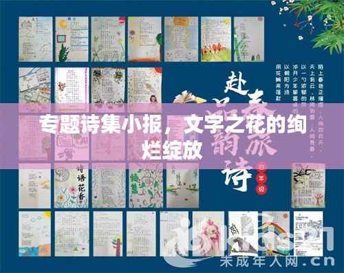 专题诗集小报，文字之花的绚烂绽放