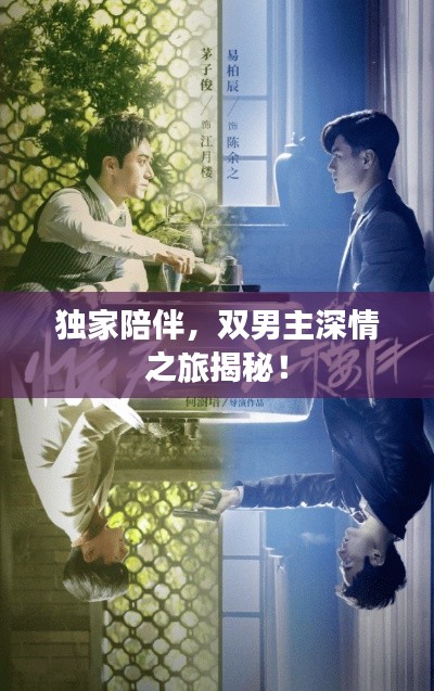 独家陪伴，双男主深情之旅揭秘！