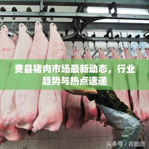 费县猪肉市场最新动态，行业趋势与热点速递