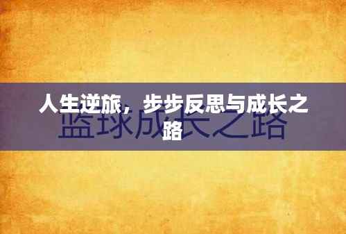 人生逆旅，步步反思与成长之路