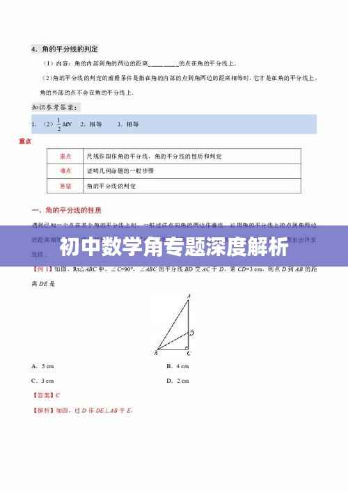 初中数学角专题深度解析