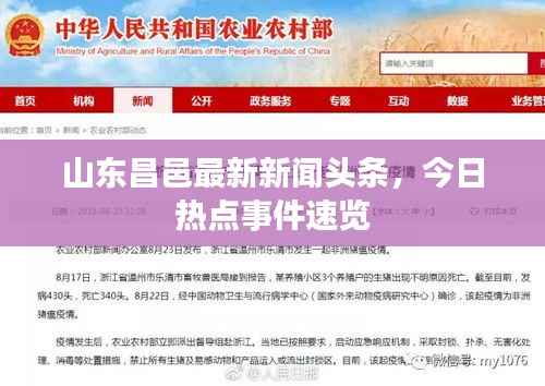 山东昌邑最新新闻头条，今日热点事件速览