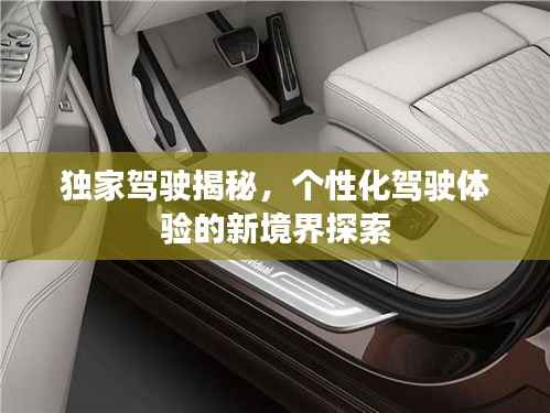 独家驾驶揭秘，个性化驾驶体验的新境界探索