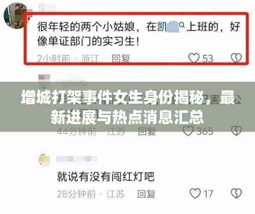 增城打架事件女生身份揭秘，最新进展与热点消息汇总