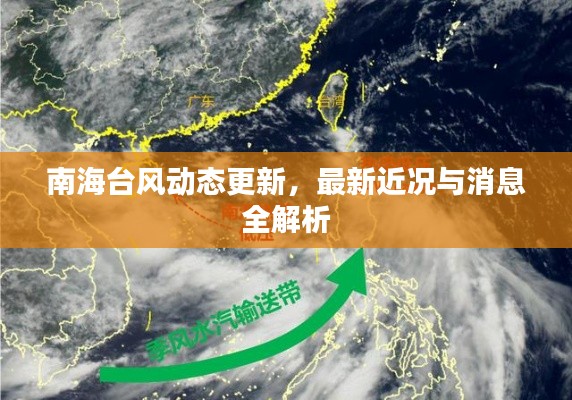 伤弓之鸟 第4页