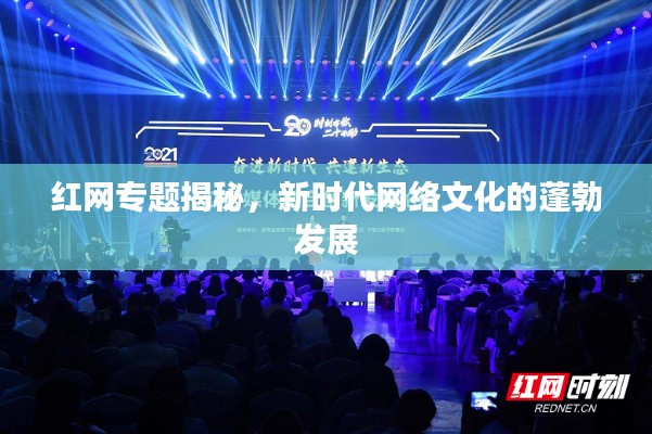 红网专题揭秘，新时代网络文化的蓬勃发展