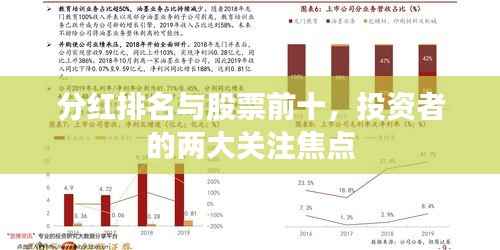 分红排名与股票前十，投资者的两大关注焦点