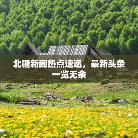 北疆新闻热点速递，最新头条一览无余