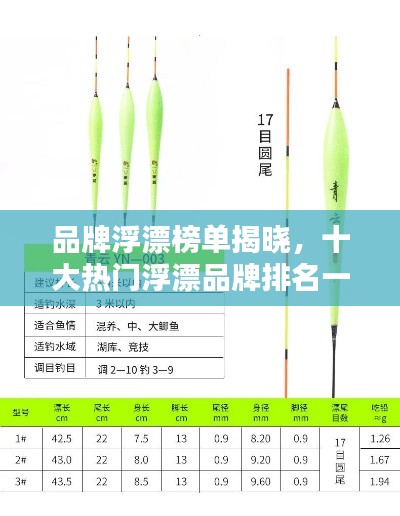 品牌浮漂榜单揭晓，十大热门浮漂品牌排名一网打尽！