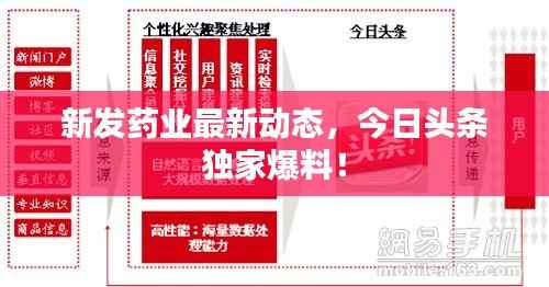 新发药业最新动态，今日头条独家爆料！