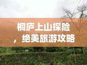 桐庐上山探险，绝美旅游攻略大揭秘！