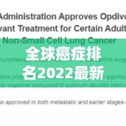 全球癌症排名2022最新榜单揭晓，癌症现状、应对策略全解析