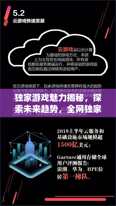 独家游戏魅力揭秘，探索未来趋势，全网独家游玩体验