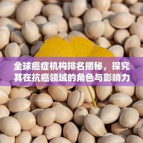 全球癌症机构排名揭秘，探究其在抗癌领域的角色与影响力