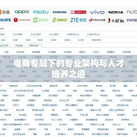 电商专题下的专业架构与人才培养之道
