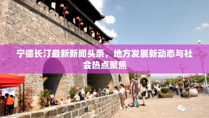 宁德长汀最新新闻头条，地方发展新动态与社会热点聚焦