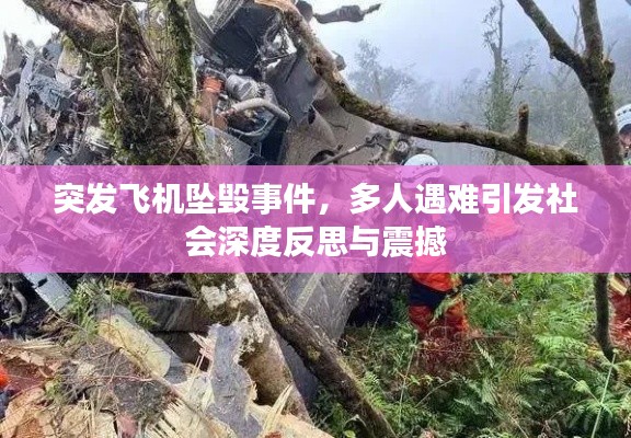 突发飞机坠毁事件，多人遇难引发社会深度反思与震撼