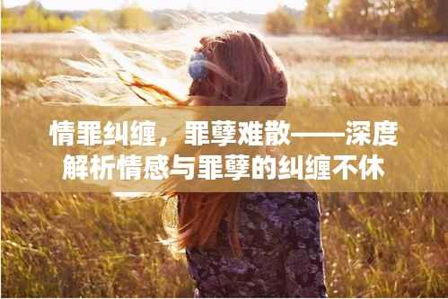 情罪纠缠，罪孽难散——深度解析情感与罪孽的纠缠不休
