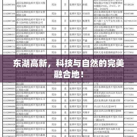 东湖高新，科技与自然的完美融合地！