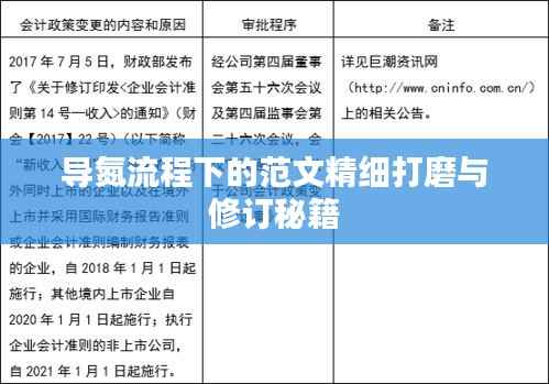导氮流程下的范文精细打磨与修订秘籍