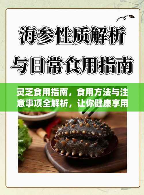 灵芝食用指南，食用方法与注意事项全解析，让你健康享用灵芝！