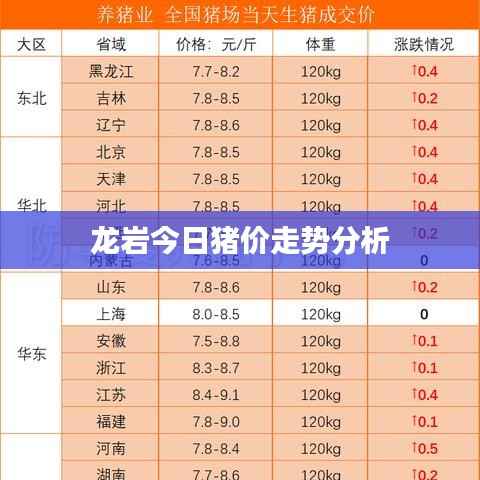 惊弓之鸟 第3页