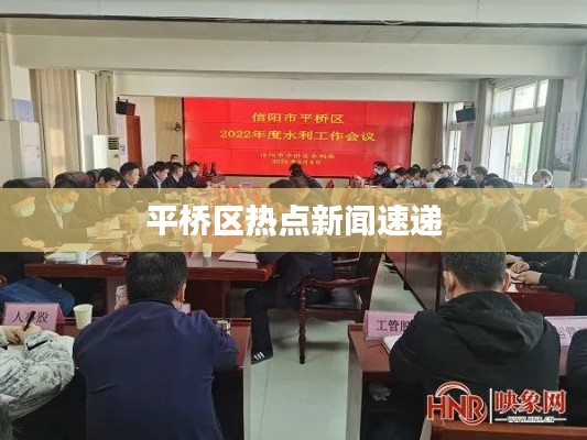 平桥区热点新闻速递