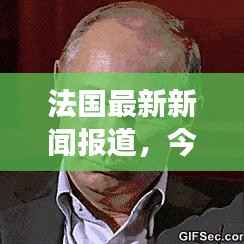 法国最新新闻报道，今日时事聚焦
