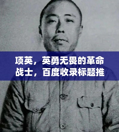 项英，英勇无畏的革命战士，百度收录标题推荐