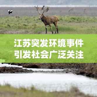 江苏突发环境事件引发社会广泛关注热议