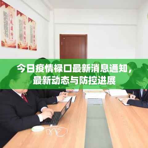 今日疫情禄口最新消息通知，最新动态与防控进展