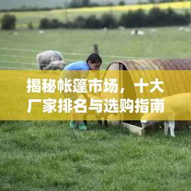 揭秘帐篷市场，十大厂家排名与选购指南，深度解析市场格局！