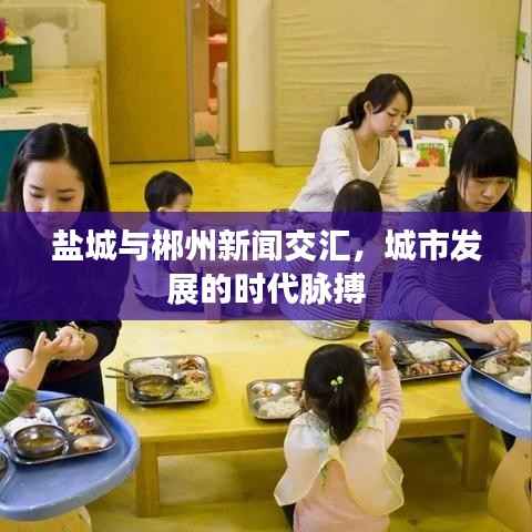 盐城与郴州新闻交汇，城市发展的时代脉搏