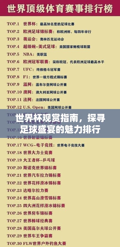 世界杯观赏指南，探寻足球盛宴的魅力排行