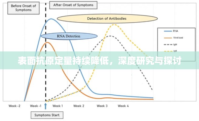 表面抗原定量持续降低，深度研究与探讨