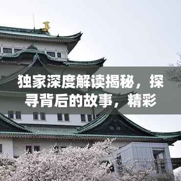 独家深度解读揭秘，探寻背后的故事，精彩细节尽览于900秒