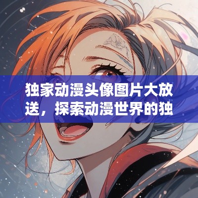 独家动漫头像图片大放送，探索动漫世界的独特魅力