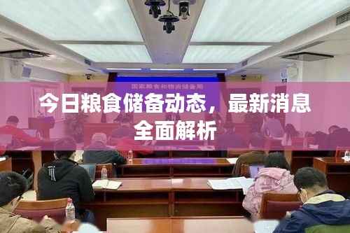 今日粮食储备动态，最新消息全面解析