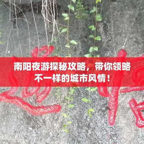 南阳夜游探秘攻略，带你领略不一样的城市风情！
