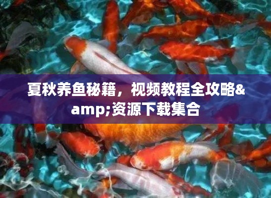 夏秋养鱼秘籍，视频教程全攻略&资源下载集合