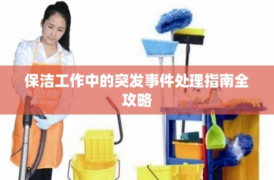 保洁工作中的突发事件处理指南全攻略