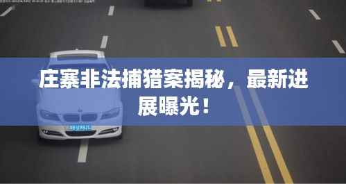 庄寨非法捕猎案揭秘，最新进展曝光！