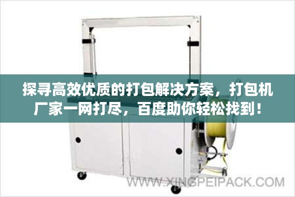 惨淡经营 第4页