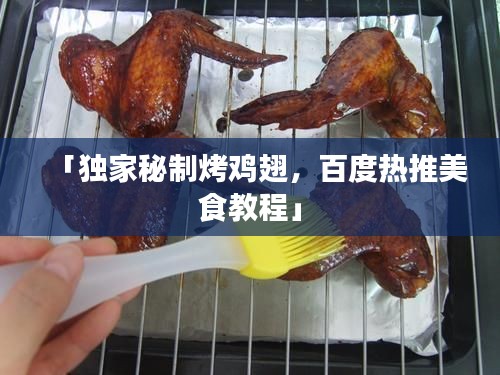 「独家秘制烤鸡翅，百度热推美食教程」