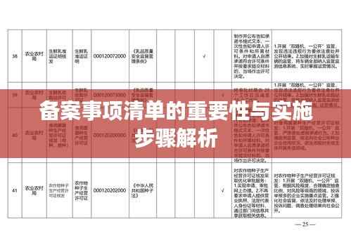 备案事项清单的重要性与实施步骤解析