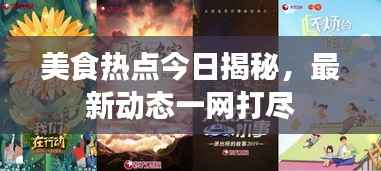 美食热点今日揭秘，最新动态一网打尽