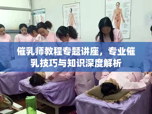 催乳师教程专题讲座，专业催乳技巧与知识深度解析