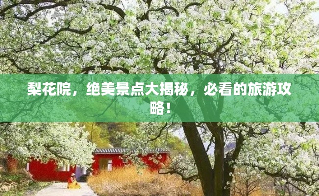 梨花院，绝美景点大揭秘，必看的旅游攻略！