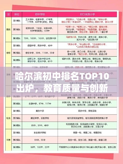 哈尔滨初中排名TOP10出炉，教育质量与创新实力展现风采